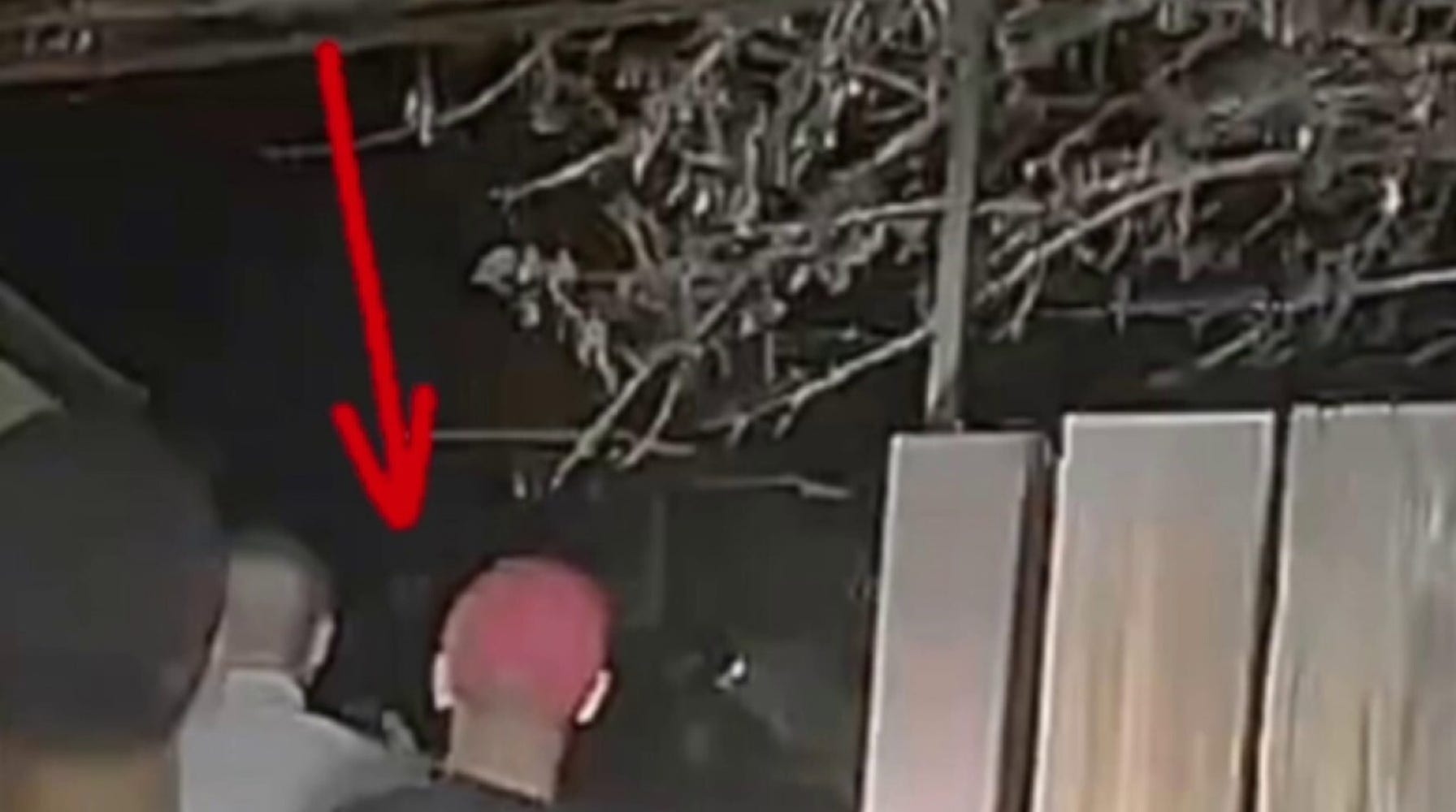 Expert Analysis Uncovers Hidden Details in Alleged Las Vegas Alien Sighting